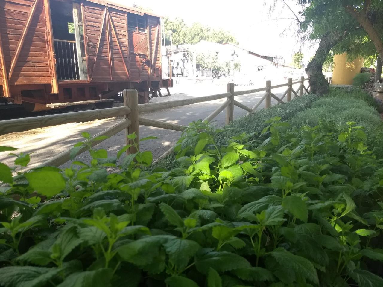 Hostal Nicol'S Hotel Luque ภายนอก รูปภาพ